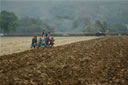 Gloucestershire Warwickshire Railway Steam Gala 2007, Image 215